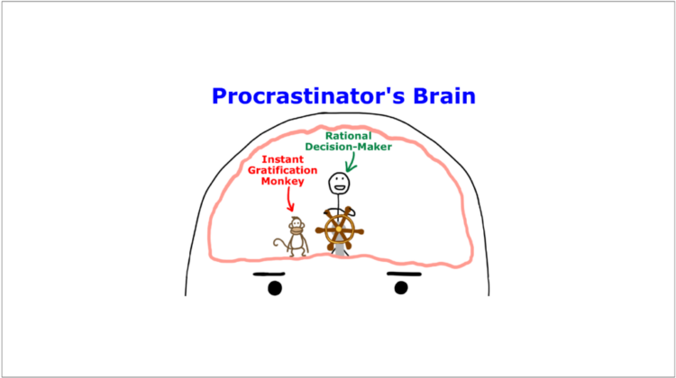 Procrastinator's Brain